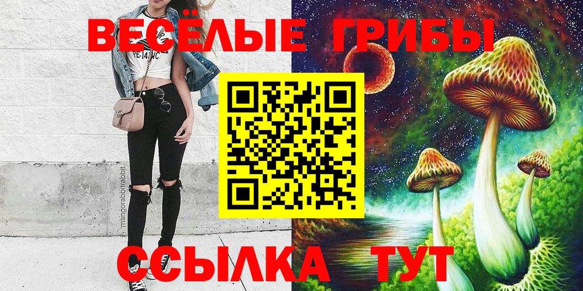 Псилоцибиновые грибы Psilocybe  Вход с VPN  Магадан 